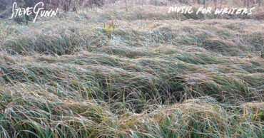 Steve Gunn - Music for Writers