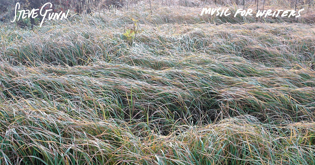 Steve Gunn - Music for Writers