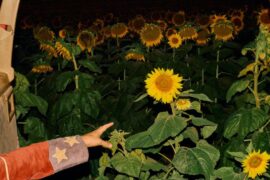 Kevin Morby - Javelin