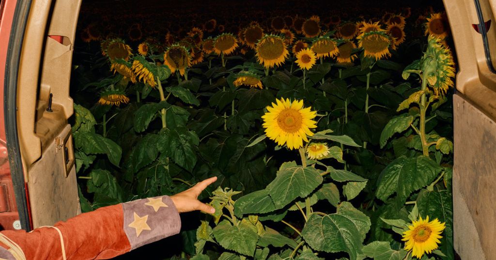 Kevin Morby - Javelin