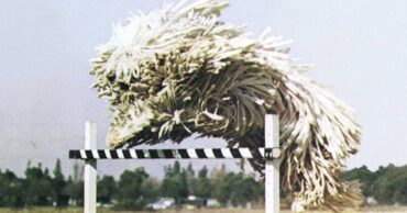 Beck - Odelay