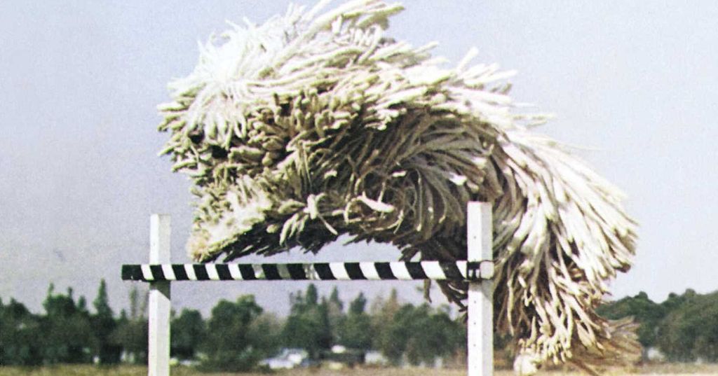 Beck - Odelay