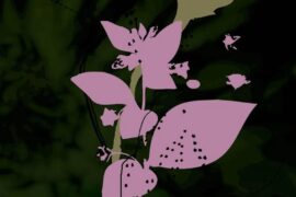 Belladonna Nocturne - Daniel Lanois