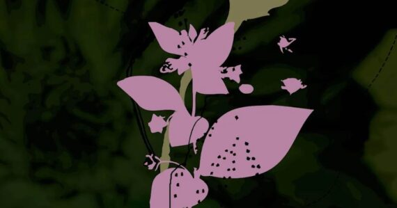 Belladonna Nocturne - Daniel Lanois